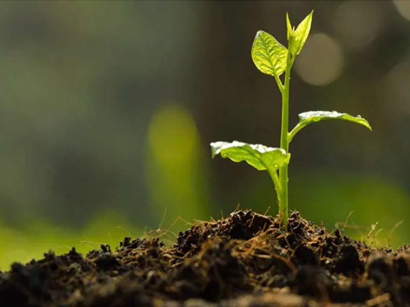 Assainissement des sols