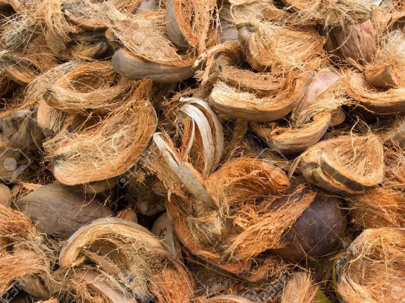 coques de noix de coco