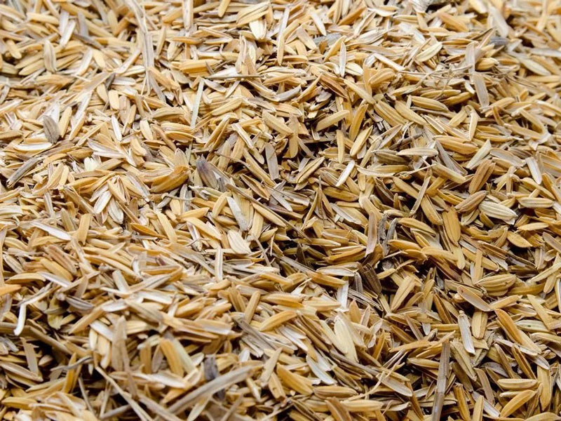 coques de riz